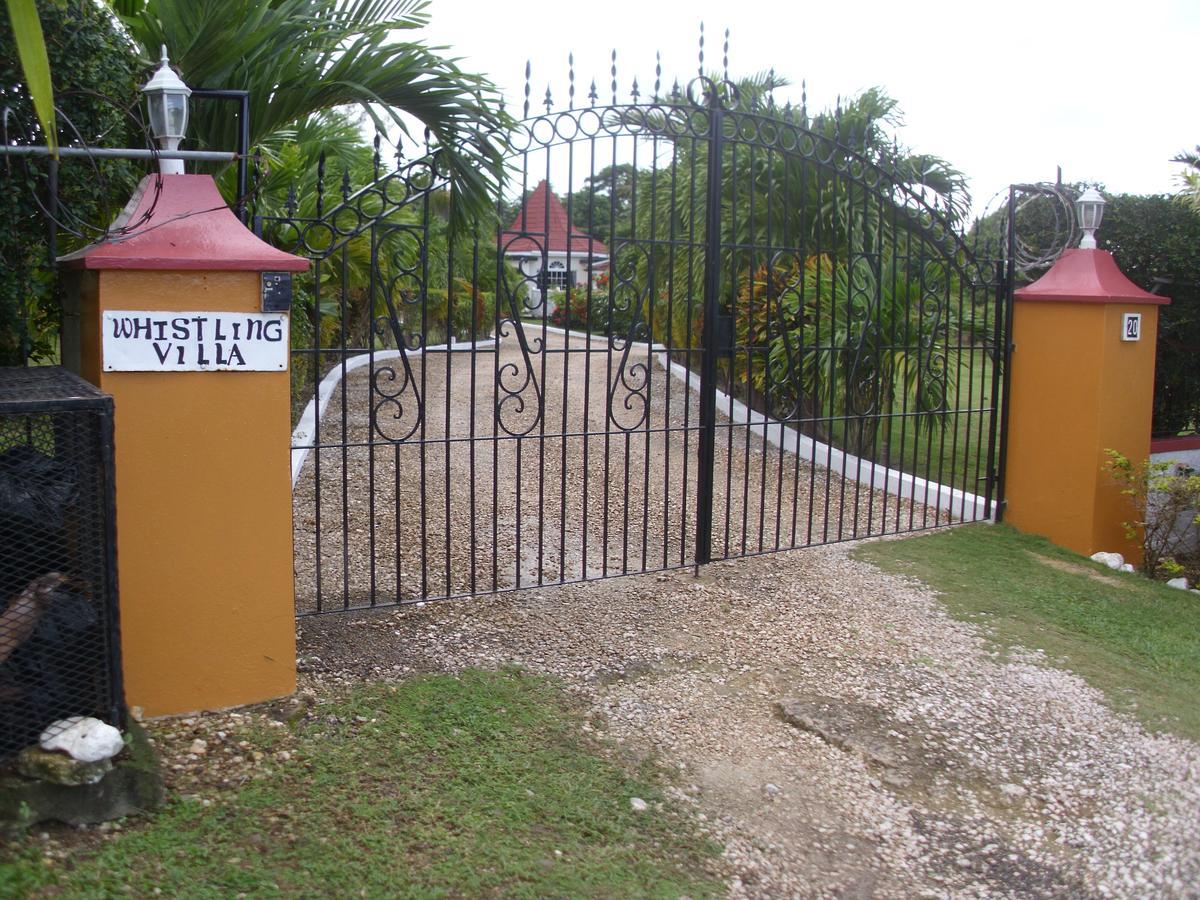 Whistling Villa Рънауей Бей Екстериор снимка